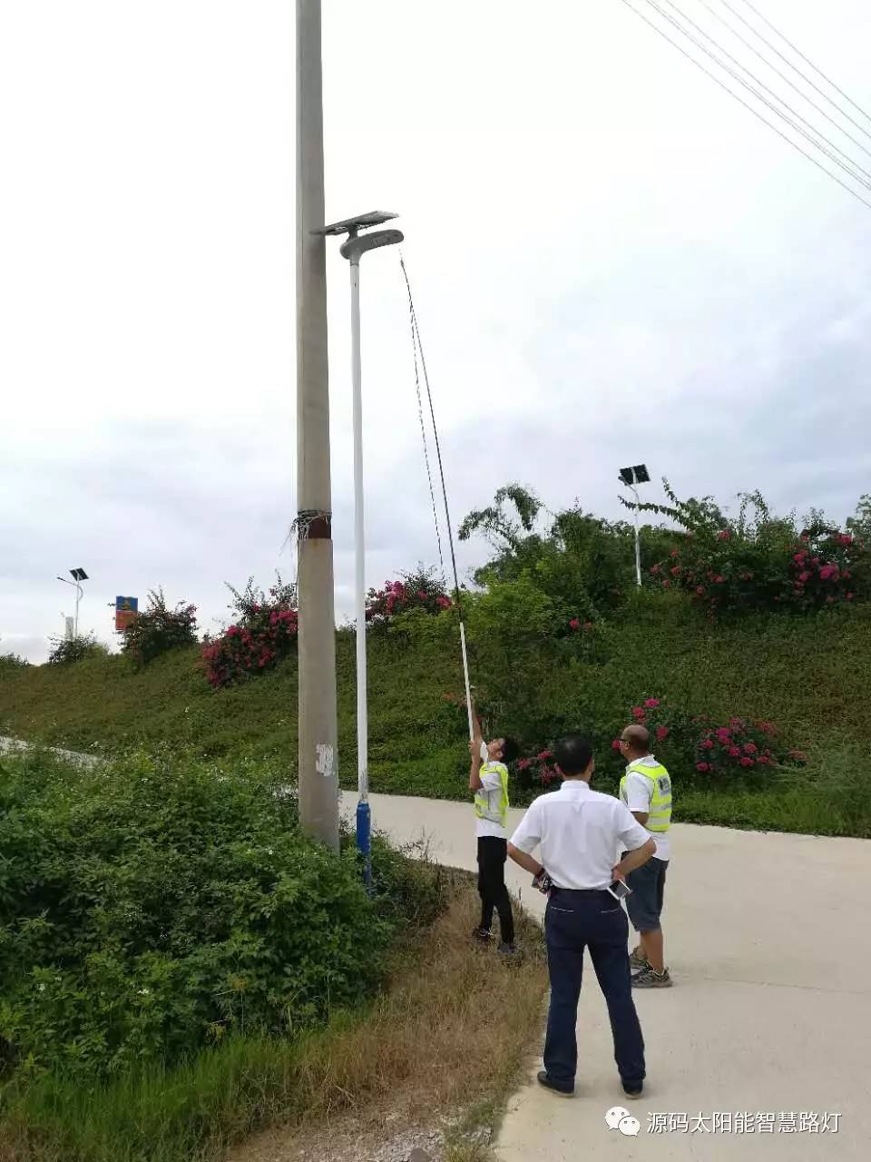 太陽能路燈 道路照明 路燈 太陽能路燈廠家 光伏能源