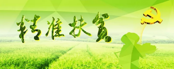 源碼助力來賓精準(zhǔn)扶貧，點(diǎn)亮新寨村幸福之路